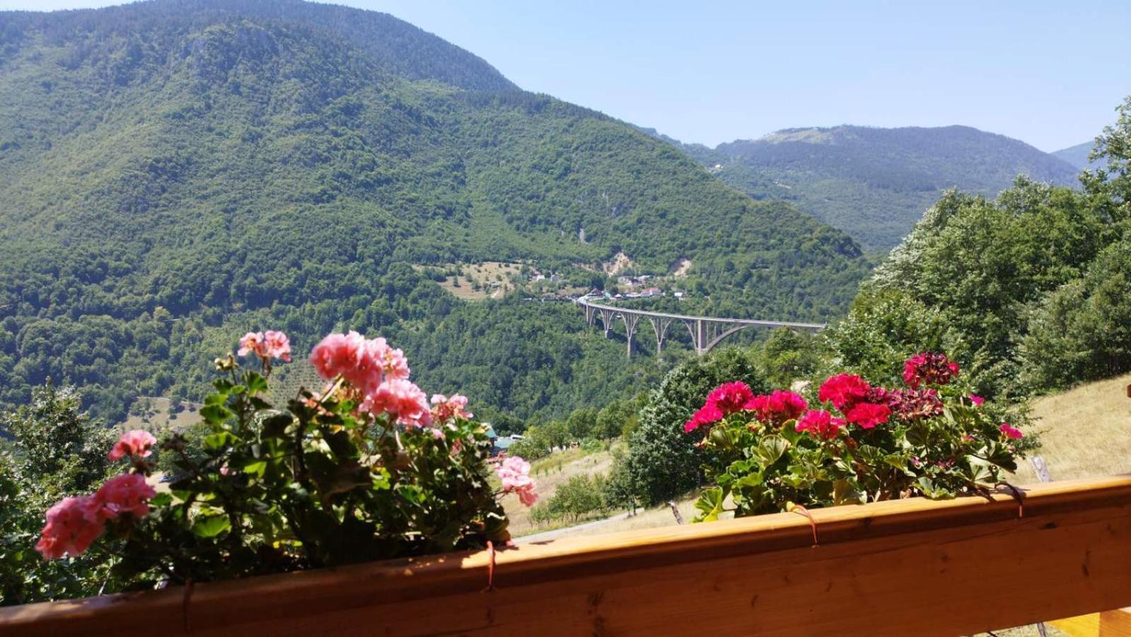 Etno Villas Tara&Petra Žabljak Kültér fotó